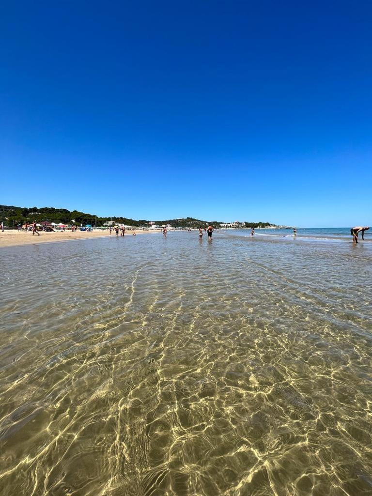 Appartamenti Le Porte Del Gargano Вьесте Экстерьер фото